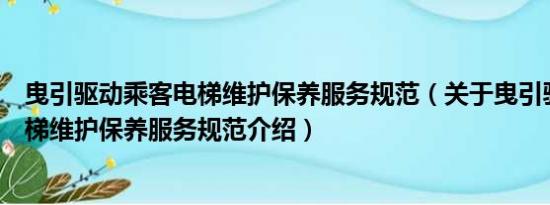 曳引驱动乘客电梯维护保养服务规范（关于曳引驱动乘客电梯维护保养服务规范介绍）