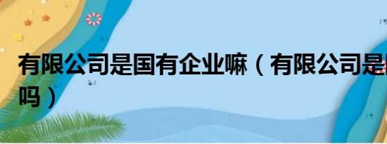 有限公司是国有企业嘛（有限公司是国有企业吗）