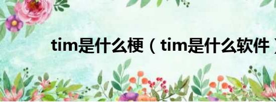 tim是什么梗（tim是什么软件）