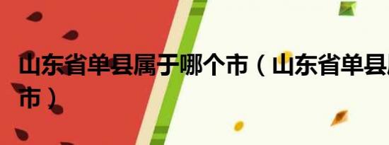 山东省单县属于哪个市（山东省单县属于哪个市）