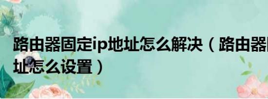 路由器固定ip地址怎么解决（路由器固定ip地址怎么设置）