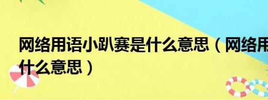 网络用语小趴赛是什么意思（网络用语xp是什么意思）