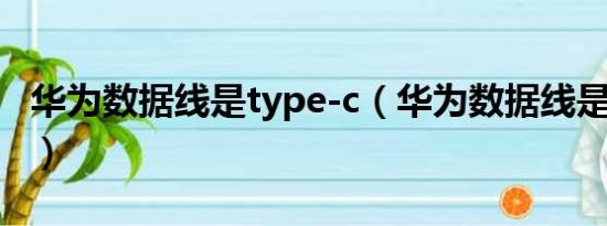 华为数据线是type-c（华为数据线是typec吗）
