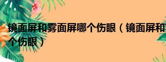 镜面屏和雾面屏哪个伤眼（镜面屏和雾面屏哪个伤眼）