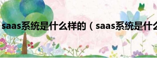 saas系统是什么样的（saas系统是什么意思）