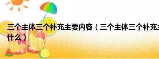 三个主体三个补充主要内容（三个主体三个补充主要内容是什么）