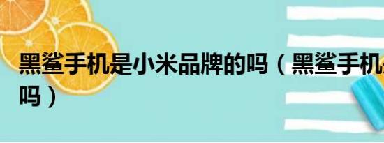 黑鲨手机是小米品牌的吗（黑鲨手机是小米的吗）