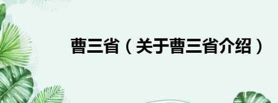 曹三省（关于曹三省介绍）