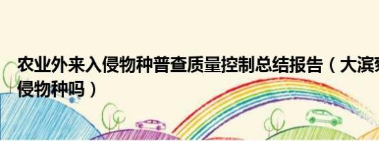 农业外来入侵物种普查质量控制总结报告（大滨菊是外来入侵物种吗）