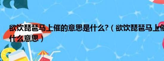 欲饮琵琶马上催的意思是什么?（欲饮琵琶马上催的马上是什么意思）