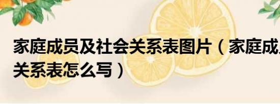 家庭成员及社会关系表图片（家庭成员及社会关系表怎么写）