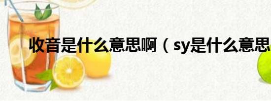 收音是什么意思啊（sy是什么意思啊）