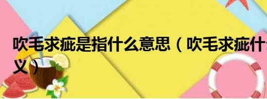 吹毛求疵是指什么意思（吹毛求疵什么意思释义）