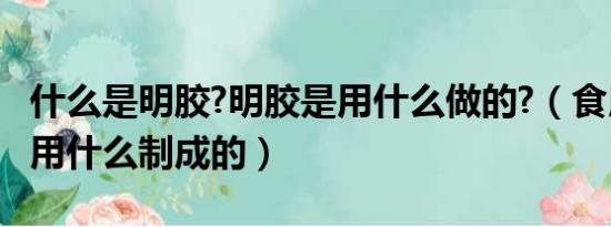 什么是明胶?明胶是用什么做的?（食用明胶是用什么制成的）