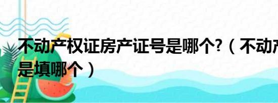 不动产权证房产证号是哪个?（不动产权证号是填哪个）