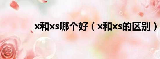 x和xs哪个好（x和xs的区别）