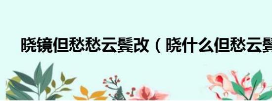 晓镜但愁愁云鬓改（晓什么但愁云鬓改）