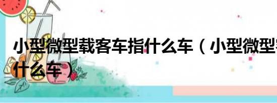 小型微型载客车指什么车（小型微型客车是指什么车）