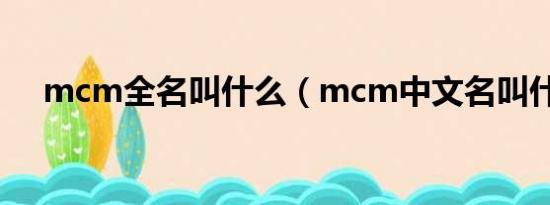 mcm全名叫什么（mcm中文名叫什么）