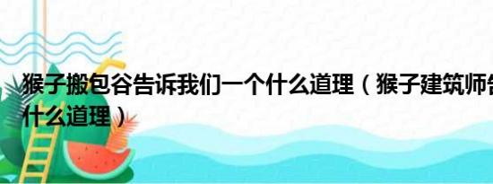 猴子搬包谷告诉我们一个什么道理（猴子建筑师告诉了我们什么道理）