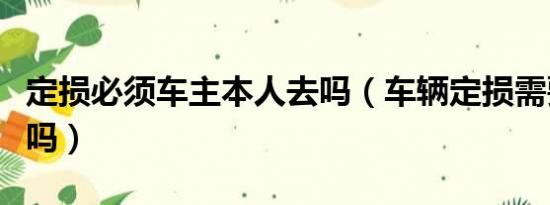 定损必须车主本人去吗（车辆定损需要本人去吗）