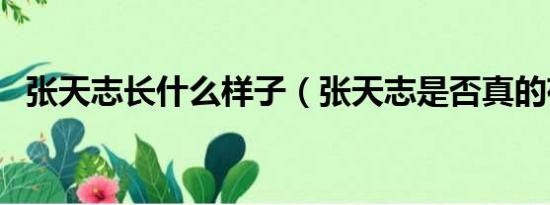 张天志长什么样子（张天志是否真的存在）