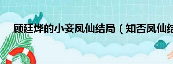 顾廷烨的小妾凤仙结局（知否凤仙结局）