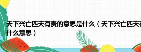 天下兴亡匹夫有责的意思是什么（天下兴亡匹夫有责匹夫是什么意思）