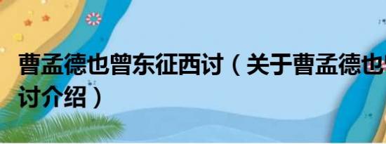 曹孟德也曾东征西讨（关于曹孟德也曾东征西讨介绍）