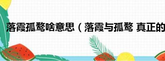 落霞孤鹜啥意思（落霞与孤鹜 真正的意思）