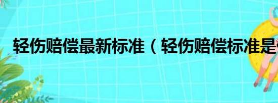 轻伤赔偿最新标准（轻伤赔偿标准是什么）