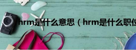 hrm是什么意思（hrm是什么职位）