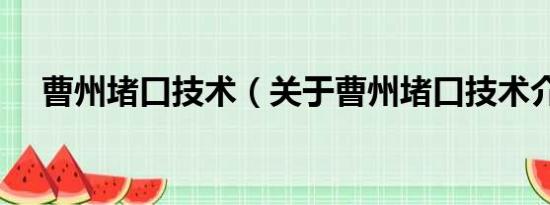 曹州堵口技术（关于曹州堵口技术介绍）