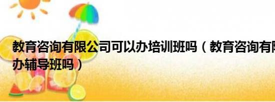 教育咨询有限公司可以办培训班吗（教育咨询有限公司可以办辅导班吗）