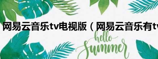 网易云音乐tv电视版（网易云音乐有tv版吗）