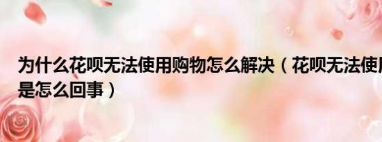 为什么花呗无法使用购物怎么解决（花呗无法使用花呗购物是怎么回事）