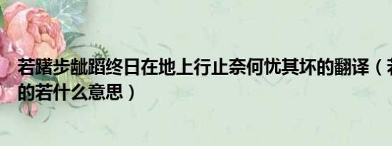 若躇步龇蹈终日在地上行止奈何忧其坏的翻译（若躇步跐蹈的若什么意思）