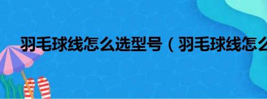 羽毛球线怎么选型号（羽毛球线怎么选）