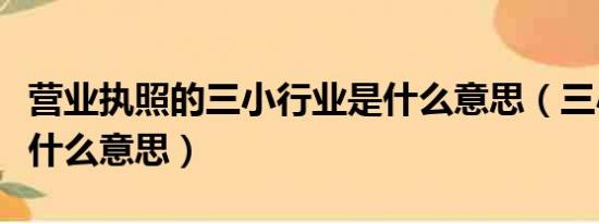 营业执照的三小行业是什么意思（三小行业是什么意思）