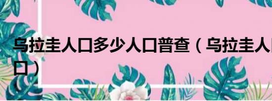 乌拉圭人口多少人口普查（乌拉圭人口多少人口）