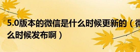 5.0版本的微信是什么时候更新的（微信5.0什么时候发布啊）