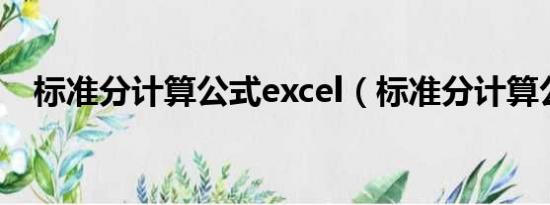 标准分计算公式excel（标准分计算公式）