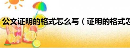 公文证明的格式怎么写（证明的格式怎么写）