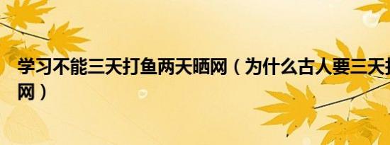 学习不能三天打鱼两天晒网（为什么古人要三天打渔两天晒网）