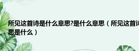 所见这首诗是什么意思?是什么意思（所见这首诗的全部意思是什么）