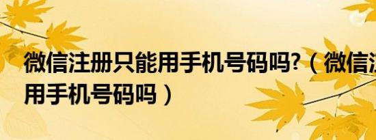 微信注册只能用手机号码吗?（微信注册只能用手机号码吗）