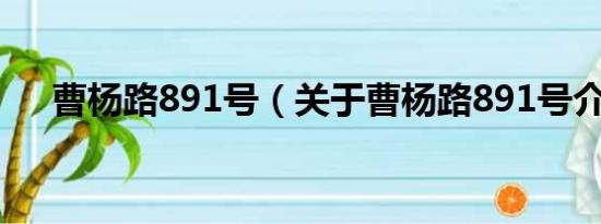 曹杨路891号（关于曹杨路891号介绍）