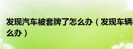 发现汽车被套牌了怎么办（发现车辆被套牌怎么办）