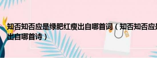 知否知否应是绿肥红瘦出自哪首词（知否知否应是绿肥红瘦出自哪首诗）