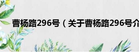 曹杨路296号（关于曹杨路296号介绍）